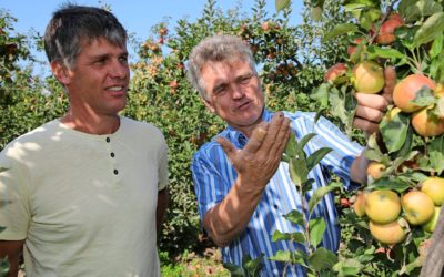 Bio-Produkte in Heilbronn werden professioneller vermarktet