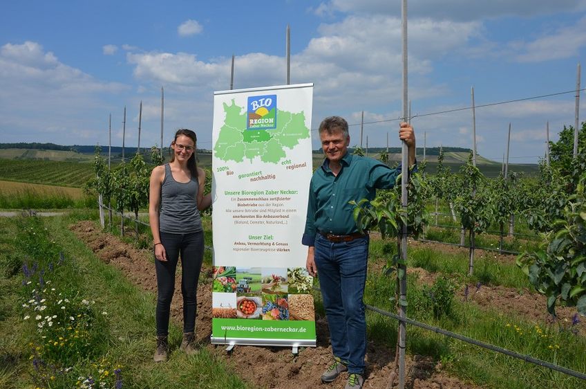 Logo als gemeinsames Kennzeichen